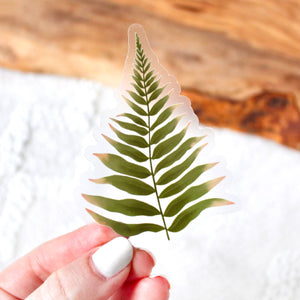 Boston Fern Leaf Sticker 3x2.5in