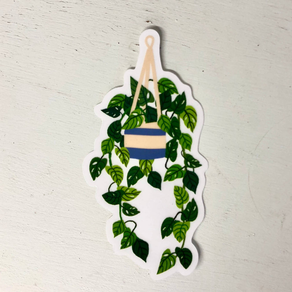 Transparent Hanging Plant Sticker